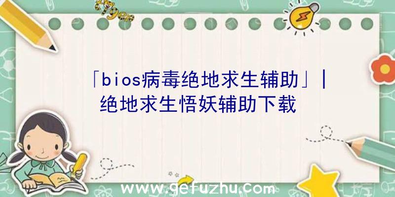 「bios病毒绝地求生辅助」|绝地求生悟妖辅助下载